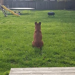 Meet your Posher, Jaimie